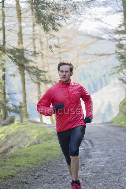 Uomo che fa jogging nel bosco — Foto stock