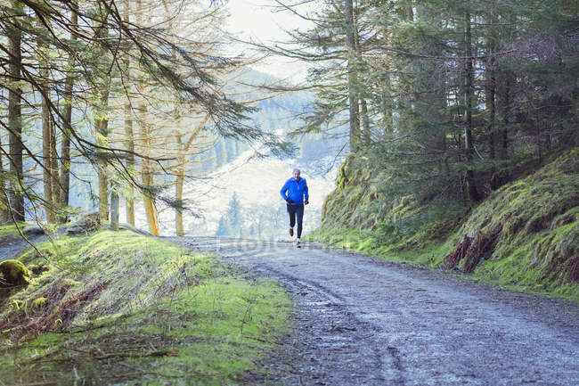 Senior homme jogging dans les bois — Photo de stock
