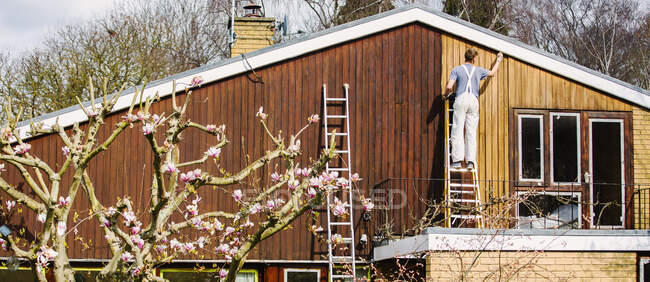 Pintor masculino na escada pintura casa exterior guarnição — Fotografia de Stock