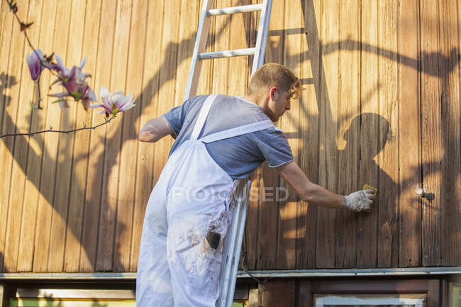 Male worker on ladder staining wood siding on home exterior — Stock Photo