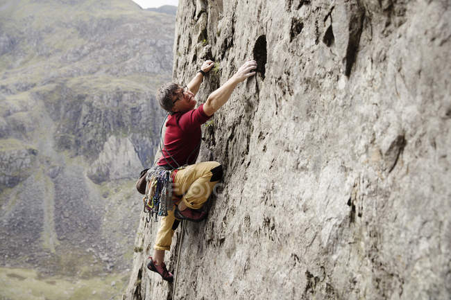 Escalador masculino enfocado escalando la cara de roca - foto de stock
