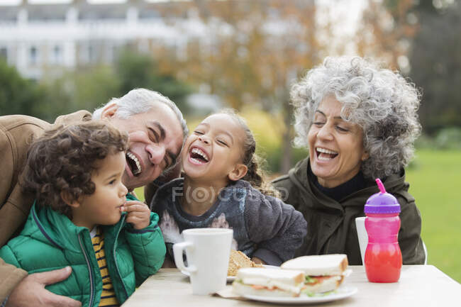 Abuelos juguetones y nietos riendo, almorzando en el parque - foto de stock