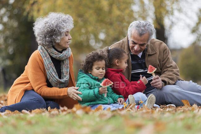 Дідусь і внуки їдять кавун в осінньому парку. — стокове фото