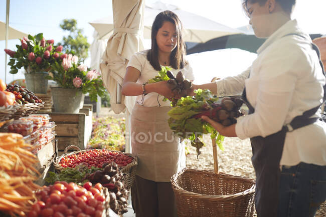 Mujeres que trabajan en el mercado agrícola - foto de stock