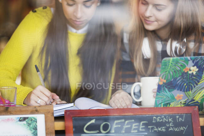 Jovens estudantes universitárias estudando no café — Fotografia de Stock