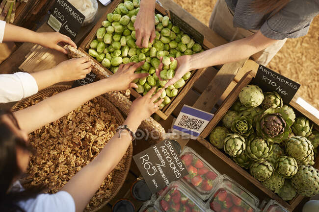 Вид сверху на людей, покупающих на фермерском рынке, выбирающих брюссельскую капусту — стоковое фото