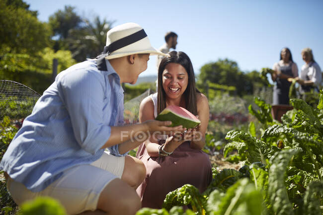 Молоді жінки насолоджуються фермою прісний кавун в сонячному овочевому саду — стокове фото