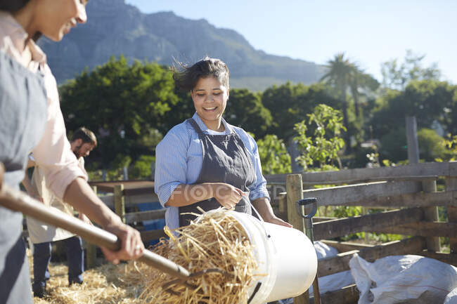 Mulher sorridente trabalhando na fazenda, esvaziando o feno do balde — Fotografia de Stock
