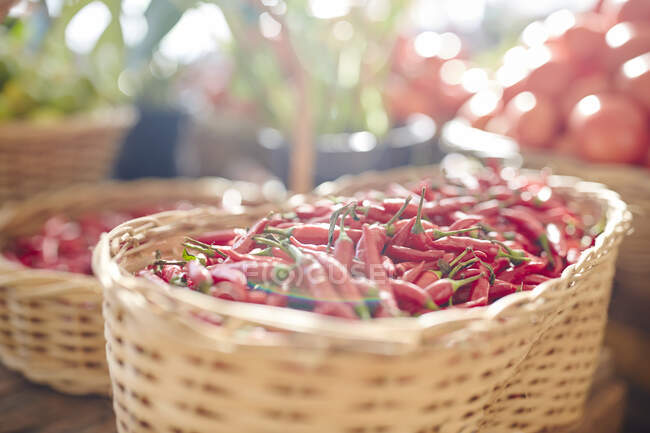 Fresh red chili peppers in basket — Stock Photo