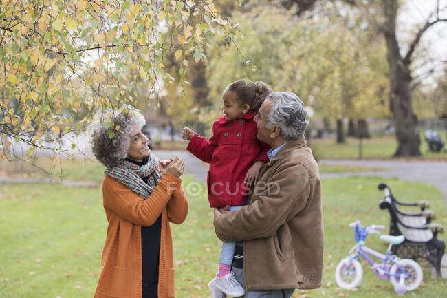 Nonni con nipote nel parco autunnale — Foto stock