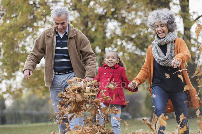 I nonni giocosi e la nipote che scalciano foglie di autunno in parco — Foto stock