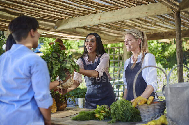 Women working at farmers market — Stock Photo