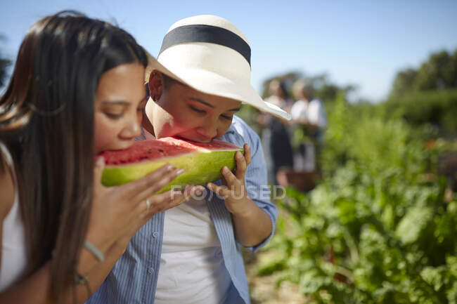 Mujeres jóvenes comiendo sandía fresca granja - foto de stock