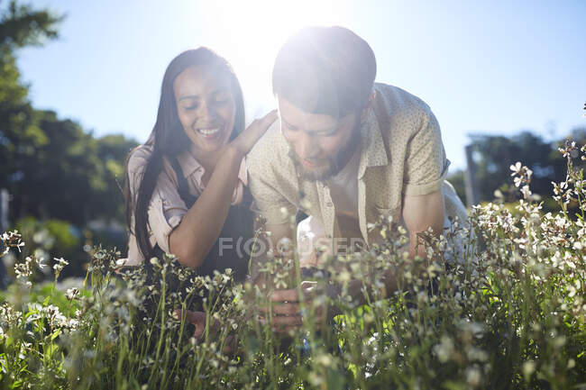 Усміхнена пара збирає квіти в сонячному саду — стокове фото