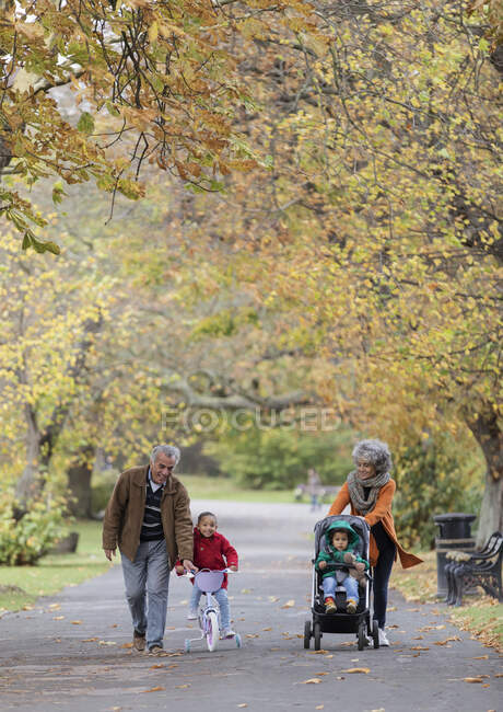 Abuelos con nietos en el parque de otoño - foto de stock