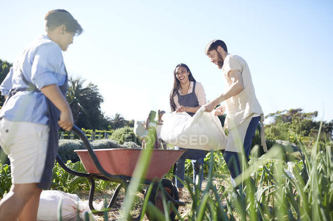 Работники с тележкой работают в солнечном саду — стоковое фото
