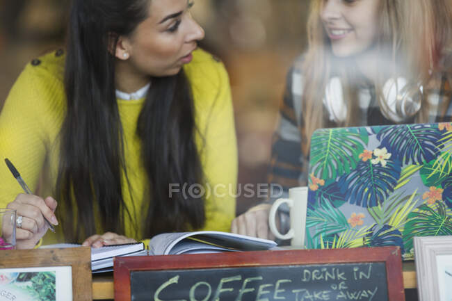 Young female college students studying at cafe window — Stock Photo