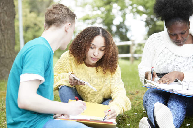 Estudiantes universitarios estudiando en el parque - foto de stock