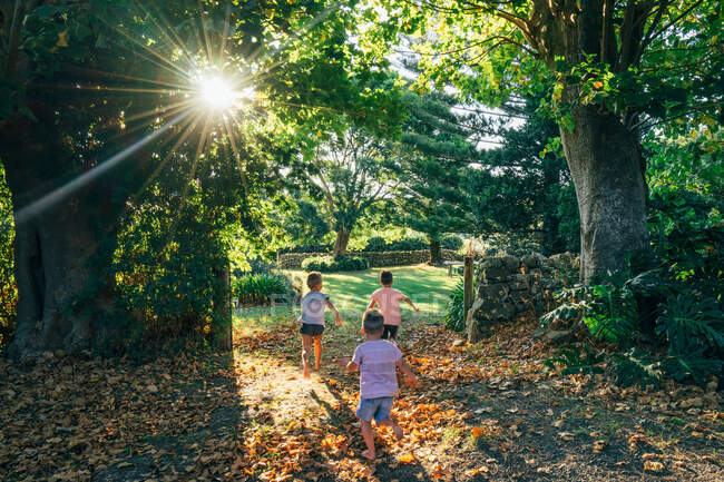 Беззаботные мальчики бегают в солнечном идиллическом осеннем парке — стоковое фото