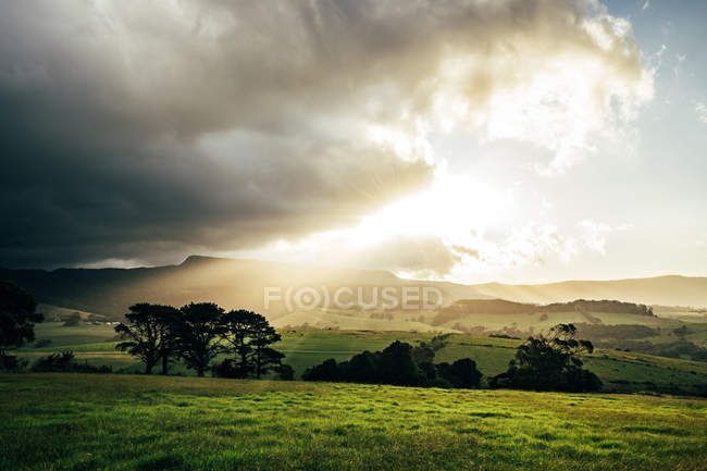 Nuvole di alba sopra idilliaco paesaggio verde rurale Kiama Australia — Foto stock