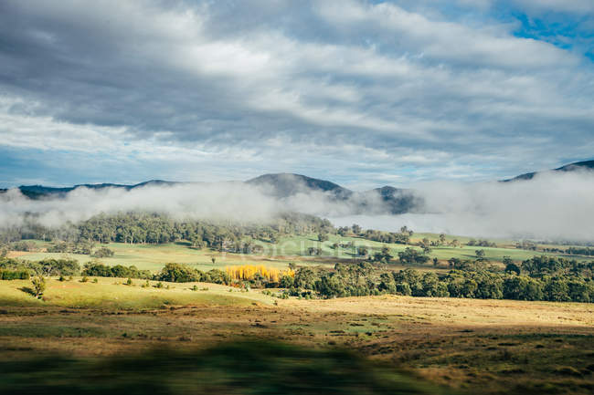 Tranquilo paisaje vista soleado otoño paisaje y niebla Australia - foto de stock