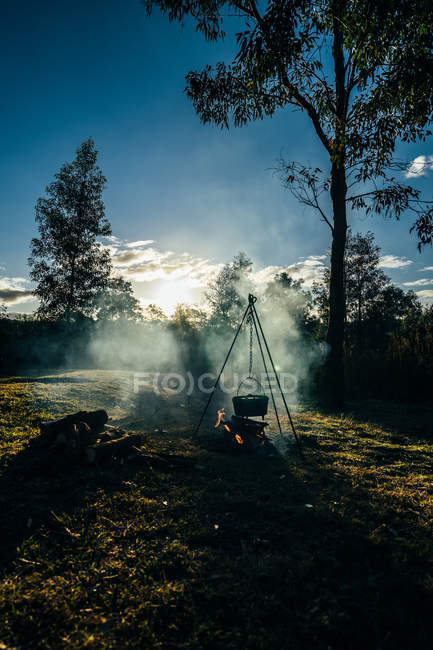 Pote de aquecimento sobre fogueira em florestas tranquilas ensolaradas — Fotografia de Stock