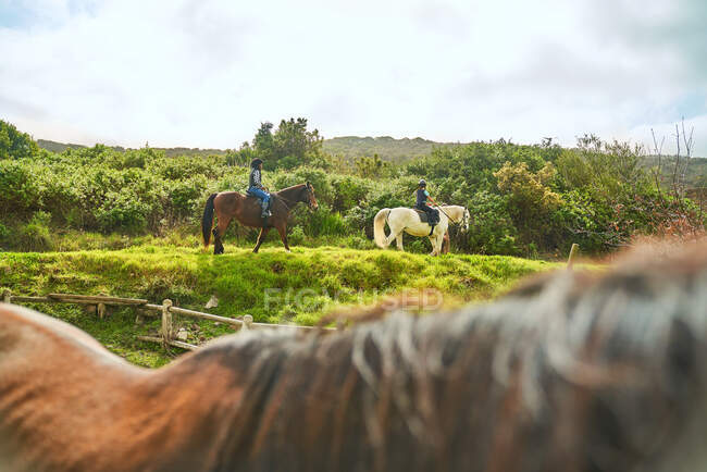 Chicas montar a caballo en la cresta de hierba soleada - foto de stock
