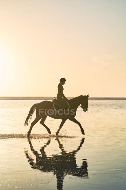 Mujer joven a caballo en el tranquilo atardecer surf - foto de stock