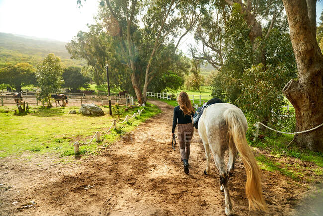 Femme menant le cheval vers le paddock rural ensoleillé — Photo de stock