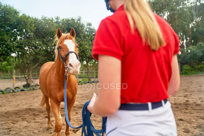 Adolescente ragazza formazione cavallo in paddock — Foto stock