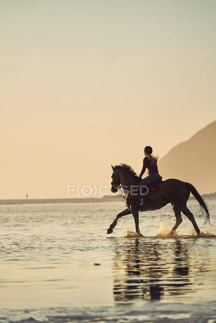 Junge Frau reitet in ruhiger Sonnenuntergang Brandung des Ozeans — Stockfoto