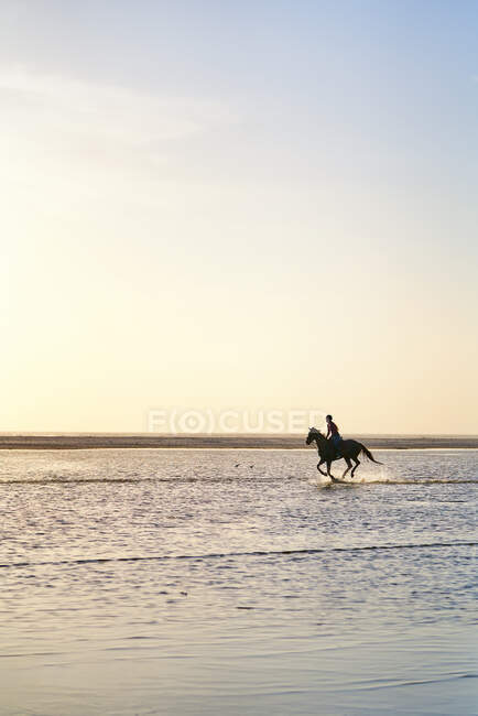 Молода жінка верхи на конях біжить в океанічному серфінгу — стокове фото