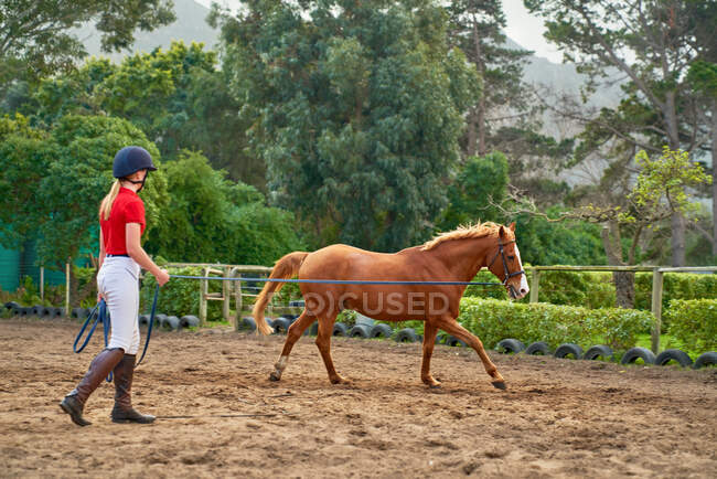 Adolescente chica entrenamiento caballo en tierra paddock - foto de stock