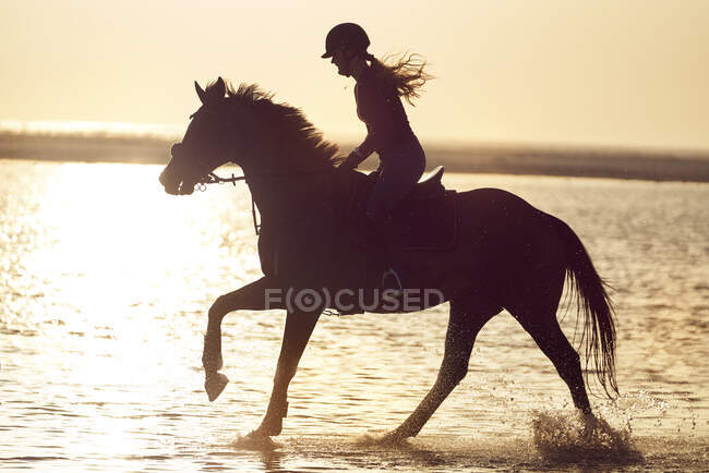 Young woman horseback riding in ocean surf at sunset — Stock Photo