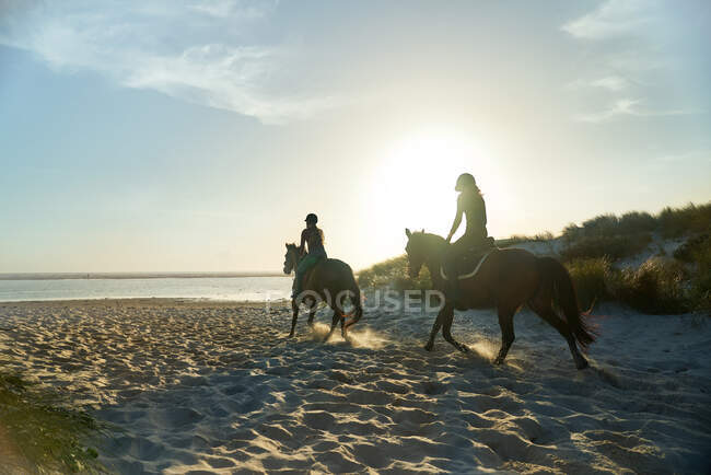 Молодые женщины верхом на лошадях на солнечном идиллическом пляже океана — стоковое фото