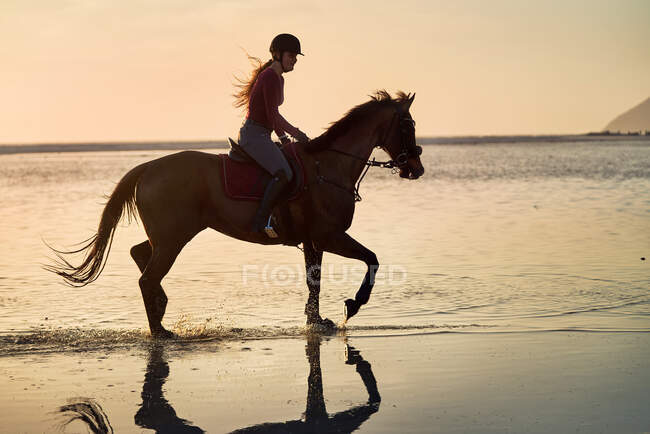 Young woman horseback riding in sunset ocean surf — Stock Photo