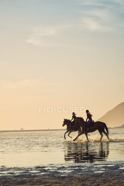 Young women horseback riding in ocean surf — Stock Photo