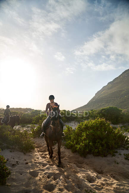 Молодая женщина верхом на лошади по солнечному пляжу — стоковое фото
