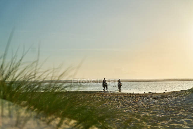 Mulheres cavalgando na tranquila praia oceânica ao pôr do sol — Fotografia de Stock