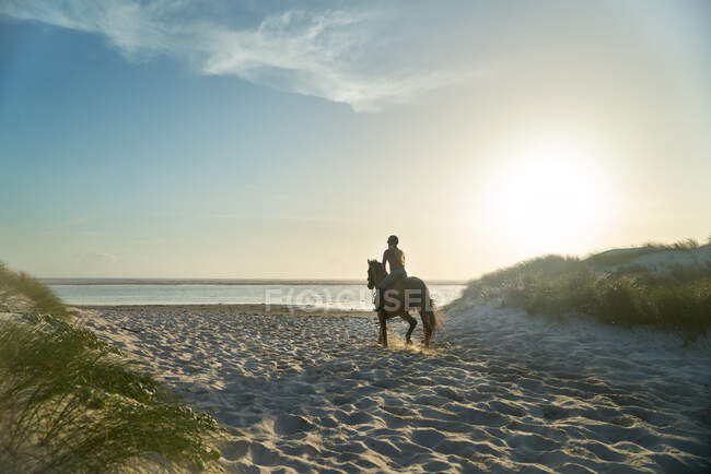 Молодая женщина верхом на лошади по идиллическому солнечному океанскому пляжу — стоковое фото