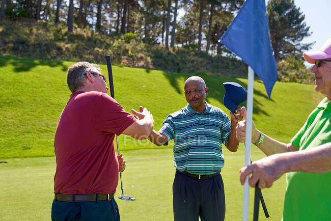 Los golfistas masculinos que dan la mano en el pin en el campo de golf soleado - foto de stock