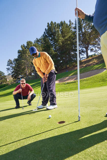 Male golfer putting on sunny golf greens — Stock Photo