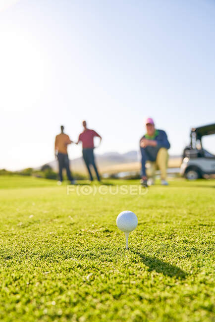 Close up golf ball on tee in sunny grass — Stock Photo