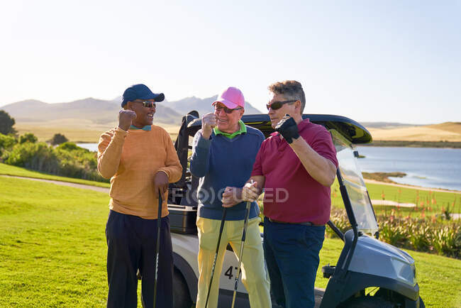 Мужчины-гольфисты аплодируют солнечной гольф-каре — стоковое фото