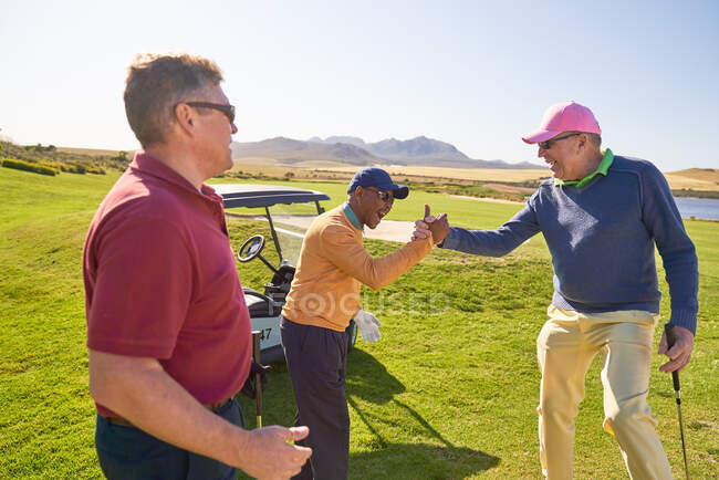 Чоловічі гольфи святкують на сонячному полі для гольфу — стокове фото
