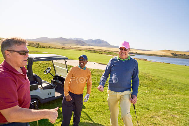 Felices amigos golfistas masculinos en campo de golf soleado - foto de stock