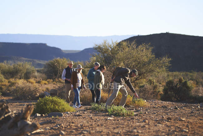 Safari tour guide explaining plants to group South Africa — Stock Photo