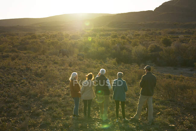 Safari grupo de gira viendo elefantes en los pastizales soleados Sudáfrica - foto de stock
