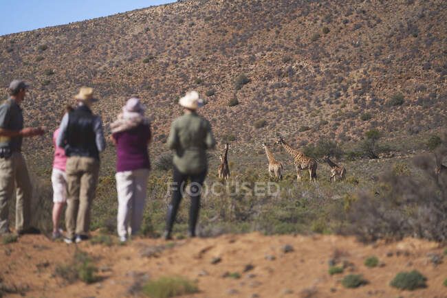 Safari grupo de turismo assistindo elefantes em pradarias ensolaradas África do Sul — Fotografia de Stock