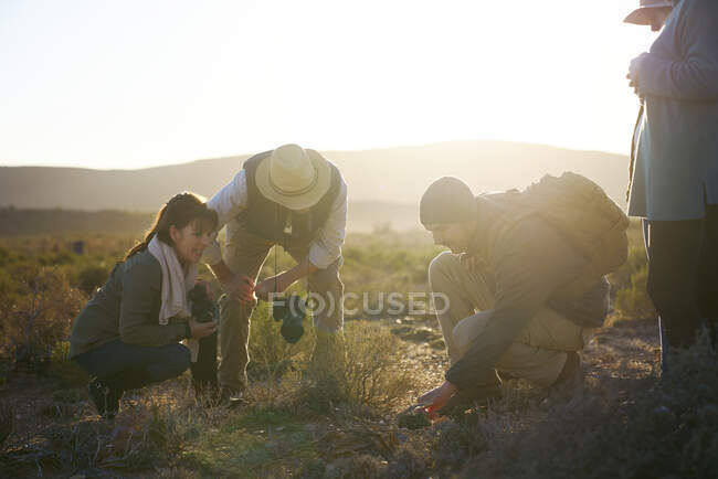 Safari tour gruppo esaminando le piante in prati soleggiati Sud Africa — Foto stock